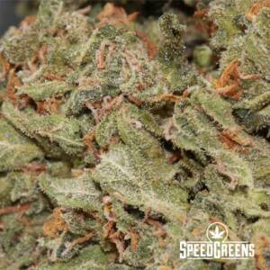 JACK HERER (AAAA) Top Shelf Cold Cured Organic - Image 3