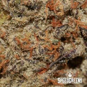 PURE MICHIGAN L.S.O. (AAAA) Top Shelf Cold Cured Organic - Image 3