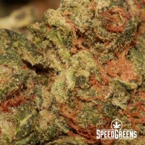 Purple Punch (Popcorn Nugs) | $129/Oz | SPEED SPECIAL - Image 3