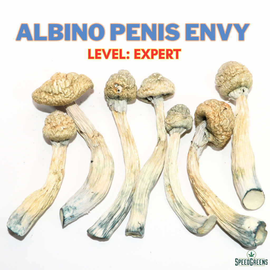 Albino Penis Envy