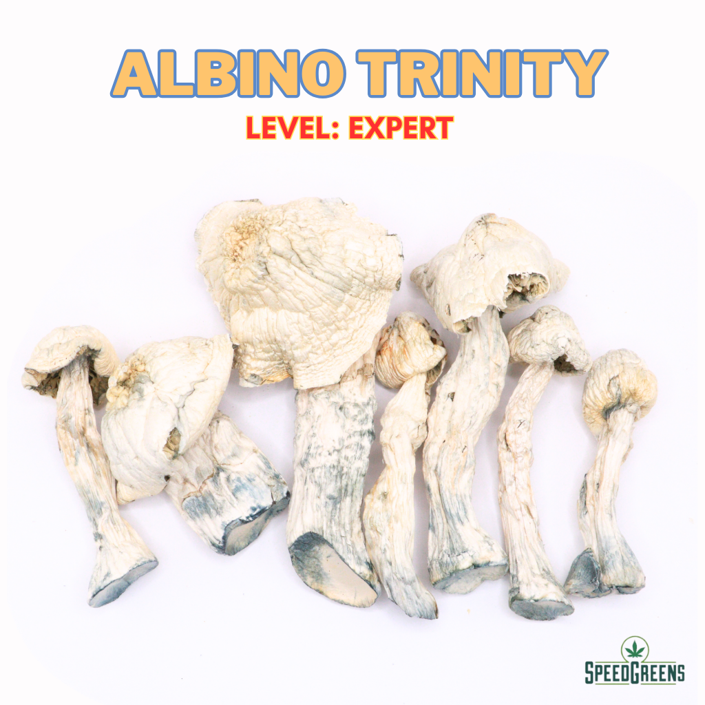 Albino Trinity Final 1