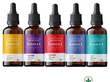 Boost CBD Tincture (750mg CBD)