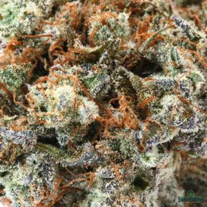 STORM WARNING Organic Cold Cured | By Frost Factory ® - Image 3