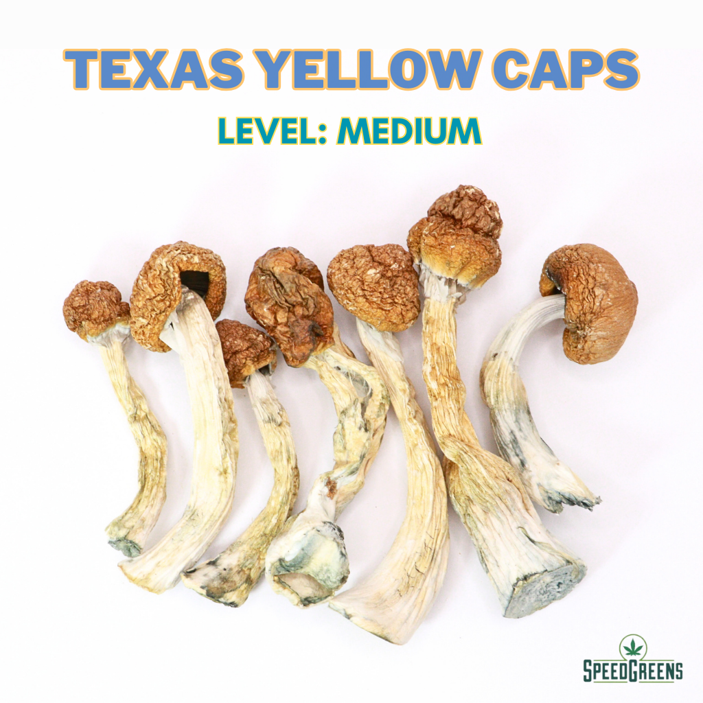 Texas Yellow Caps