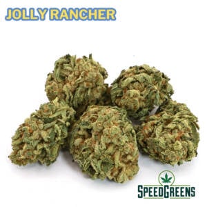 Jolly Rancher | $79/Oz | SPEED SPECIAL - Image 3