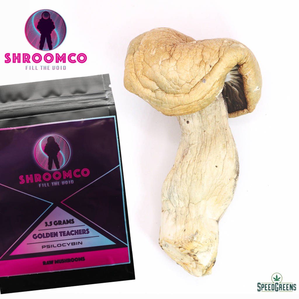 Golden Teacher Magic Mushrooms | By ShroomCo® | Speed Greens
