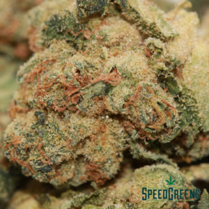 BLUEBERRY HAZE (Popcorn Nugs) | $99/Oz | SPEED SPECIAL - Image 4