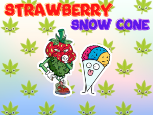 STRAWBERRY SNOW CONE Organic Cold Cured | By Frost Factory ® - Image 3