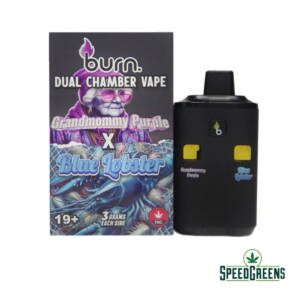 BURN Dual Chamber Disposable Vapes (6g THC) - Image 18
