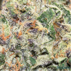 PURPLE DRANK Organic Cold Cured | by Frost Factory® - Image 3