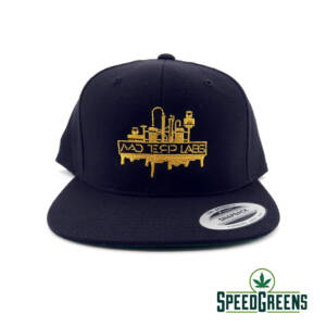 Free Gift | DIAMOND Snapback on orders over $249! - Image 1