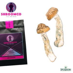 Cowboy Magic Mushrooms | By ShroomCo®