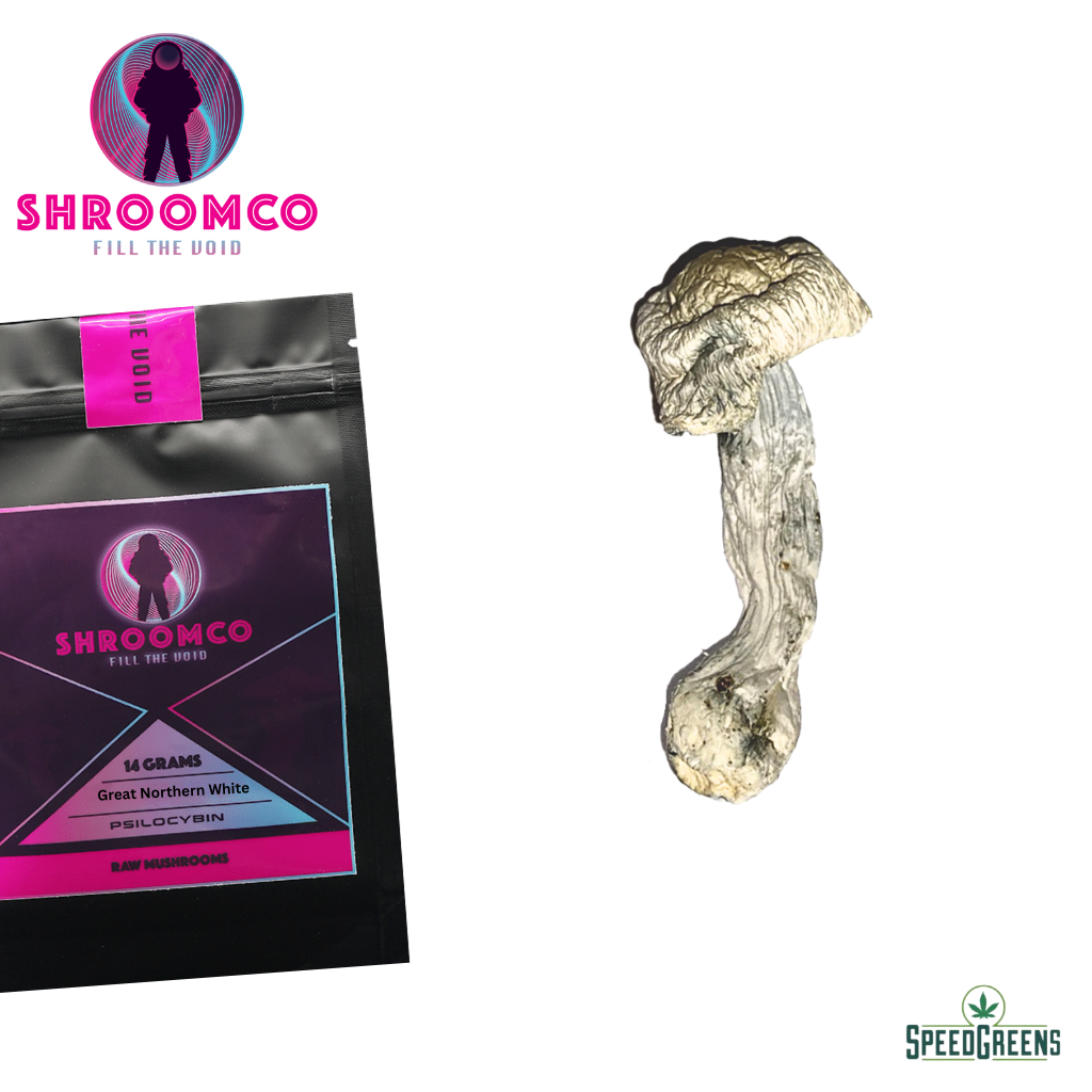 Great Northern White Magic Mushrooms | By ShroomCo® | Speed Greens