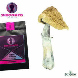 Makshak Magic Mushrooms | By ShroomCo®