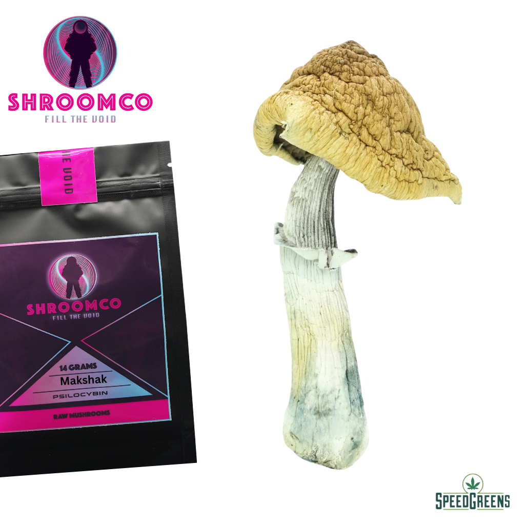 Makshak Magic Mushrooms | By ShroomCo® | Speed Greens