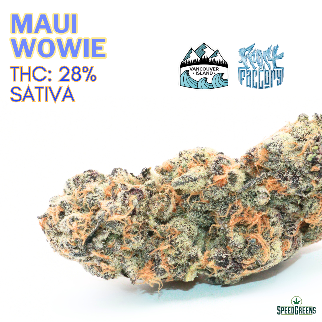 Strain Maui Wowie Stiefel Maui Wowie Feminized Cafe420