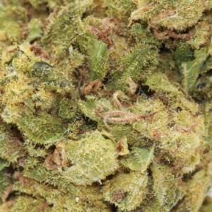 Fuji OG | $59/Oz | SPEED SPECIAL - Image 3