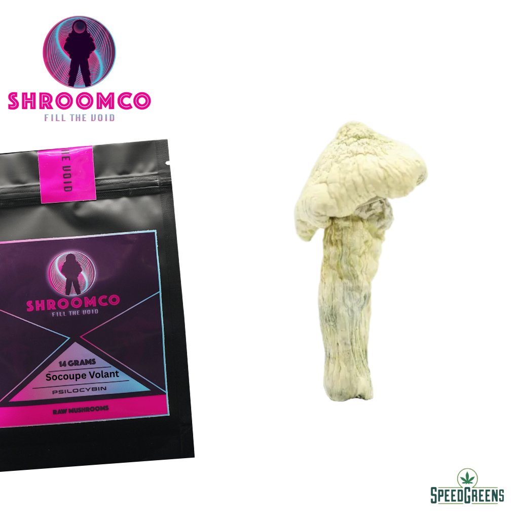 Soucoupe Volante Magic Mushrooms | By ShroomCo® | Speed Greens
