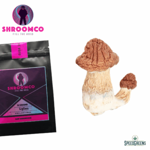Uglies Magic Mushrooms | By ShroomCo®