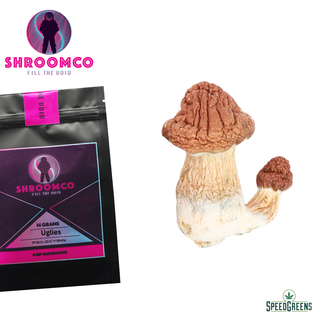 Uglies Magic Mushrooms | By ShroomCo® | Speed Greens