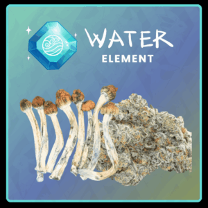 🌊 Water Element Pack – Blue Meanies 3.5g & Makaveli 3.5g - Image 1