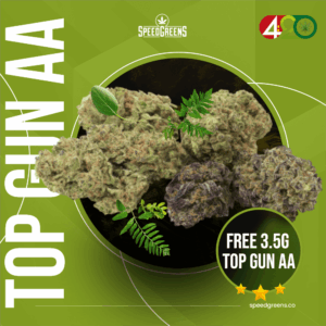 420 PROMO FREE GIFT: Top Gun 3.5g AA (Free with $149+ Orders | MAX 1 Per Customer ) - Image 1