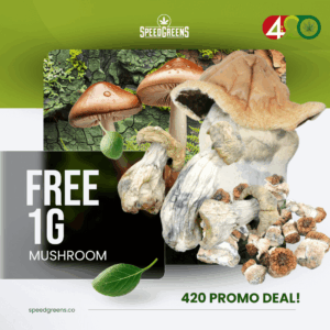 420 PROMO FREE GIFT: 1g Magic Mushroom (Free with Any Mushroom Purchase) - Image 1