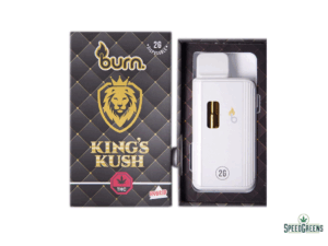 BURN Disposable Vapes (2g THC)