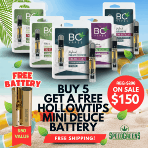 BC Vapes Cartridge Bundle with Free Hollowtips Mini Battery
