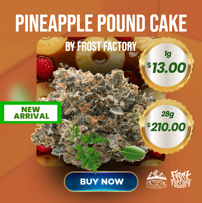 buy pineapple pound cake weed
