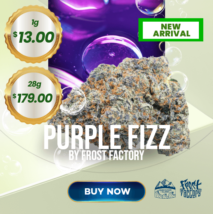 purple fizz weed strain