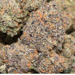 Frost Factory® Purple Fizz Buds – Cold Cured Hybrid Strain for Evening Use