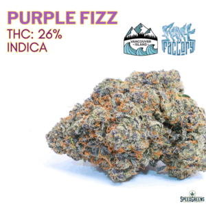 Purple Fizz Cold Cured Cannabis by Frost Factory – Relaxing Hybrid Flower