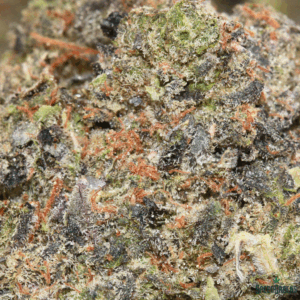 Pineapple Pound Cake Strain – Frost Factory® Cold Cured Top Shelf Weed