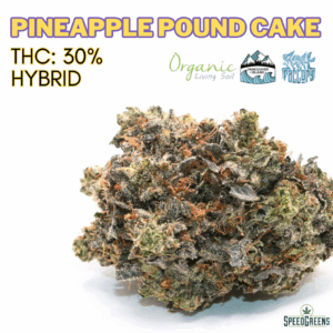 Pineapple Pound Cake Cold Cured Cannabis by Frost Factory – Balanced Hybrid