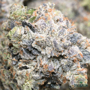 Frost Factory Venom OG Strain – Top Shelf Cold Cured Hybrid Weed