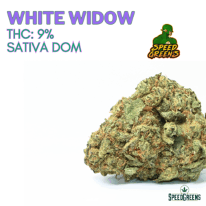 White Widow | $89/Oz | SPEED SPECIAL