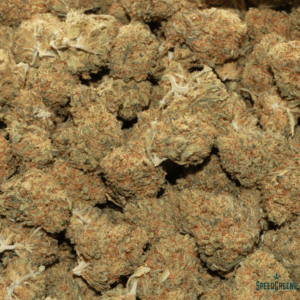 Blue Dream Strain | $79/Oz | SPEED SPECIAL - Image 3