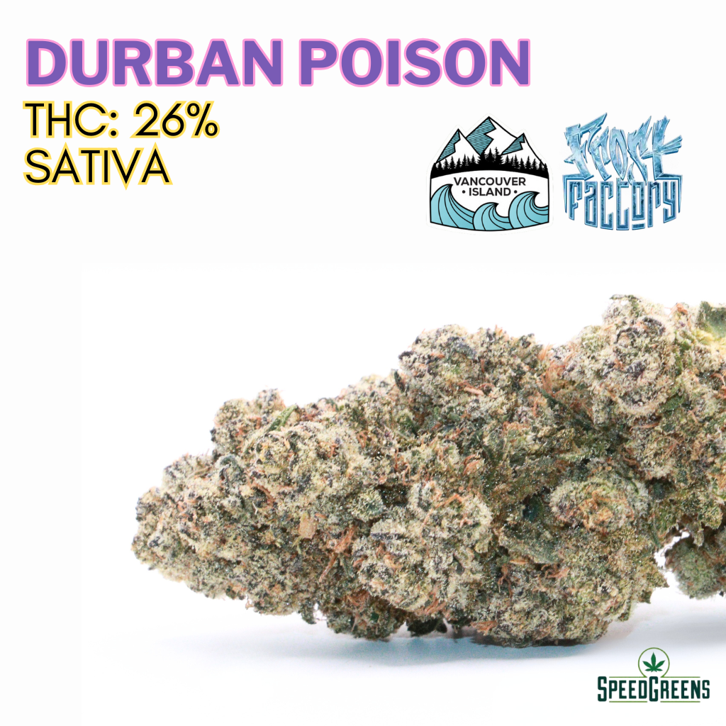 Durban Poison AAAA Organic Cold Cured Sativa | Frost Factory
