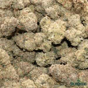 GORILLA GLUE Organic Cold Cured | By Frost Factory ® - Image 4