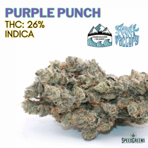 PURPLE PUNCH Organic Cold Cured | By Frost Factory ®