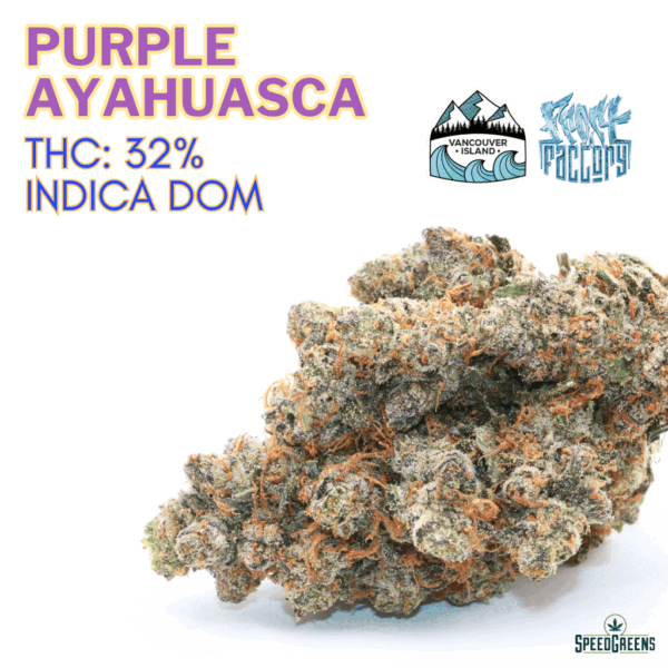 Purple Ayahuasca