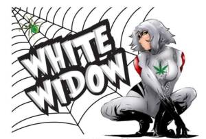White Widow | $89/Oz | SPEED SPECIAL - Image 3