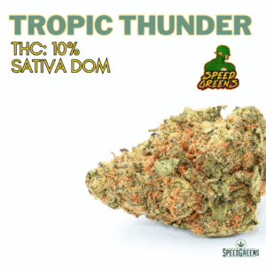 Tropic Thunder | $99/Oz | SPEED SPECIAL