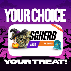 SGHERB — Free 3.5g Flower - Image 1
