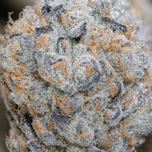 PURPLE SPACE COOKIES Organic Cold Cured | by Frost Factory® - Image 3