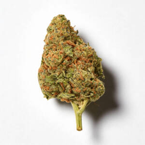 Macro shot of Tropic Thunder cannabis bud with lime green and purple hues, orange pistils, and shimmering trichomes emphasizing its tropical aroma.