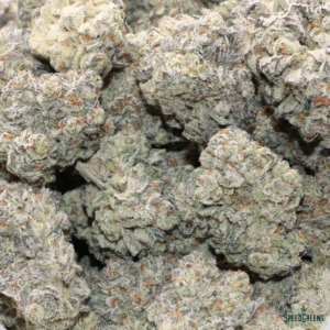 MAUI WOWIE Organic Cold Cured | by Frost Factory® - Image 3