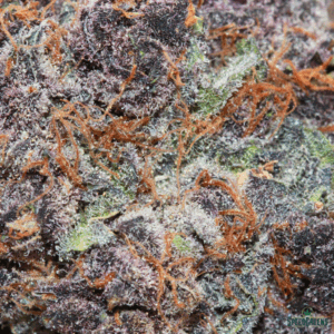 ACAPULCO GOLD Organic Cold Cured | by Frost Factory® - Image 3