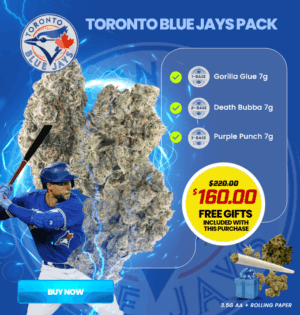 Toronto Blue Jays Pack